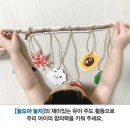 창의융합책놀이 이미지