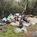 오름행정사무소 헤드라인제주
