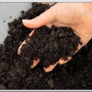 흥농농약사 이미지