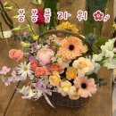 신월중학교 | 창원 생신 꽃바구니 추천 : 봉봉플라워