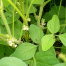 농은농장 이미지