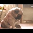 골든벨농장 이미지