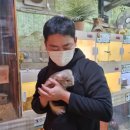 재리쥬 이미지