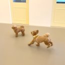 포우 파라다이스 이미지