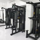 비디피트 이미지