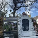 오동도 광장 | 여수 혼자 뚜벅이 여행 관광지 방문 후기 (향일암,오동도,아르떼뮤지엄,이순신광장)