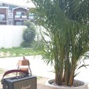 아이젠트리 연초농협점 이미지