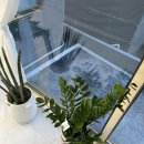 엘속눈썹 이미지