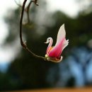 마라천국 이미지