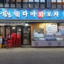 다미포차 네이버블로그