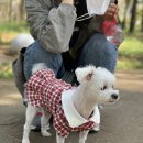 하동낙지집 이미지