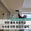 천안용곡초등학교 네이버블로그