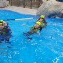 용인대 국가대표 해들 태권도 이미지