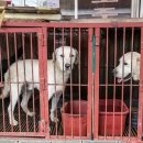 서해안 농장 이미지