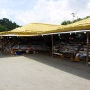 섬진강자전거길7 이미지