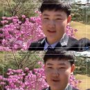 글꽃중학교