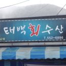 태백회수산 이미지