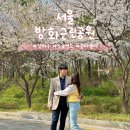 방화근린공원 관리사무소 | 방화근린공원 벚꽃 명소 서울 봄 나들이 가볼만한곳