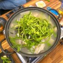 365산오징어 | [내돈내산] 전복치회·산오징어회·물회·지리탕까지 완벽했던 365산오징어 재방문 후기