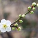 멍멍멍 - 서귀포시 현청로 51 | 멍멍멍