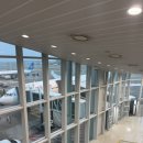 중국어(강좌번호:12) | 상하이 2박 3일 여행 후기｜12월 중순 부모님과 중국동방항공·와이탄 일정