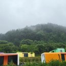 무릉도원면-43 이미지