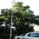 북참경로당 이미지