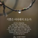 여름 휴가 (영어 일기 24편) 이미지
