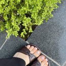 나무향기 | 광화문역 네일샵 네일해썸 | 가격과 실력 모두챙긴 1인 네일샵 내돈내산 후기
