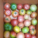 브니엘농장 이미지