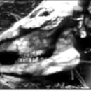 미문농장 이미지