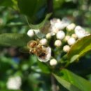 한뿌리농장 이미지