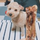 간식파는남자 이미지