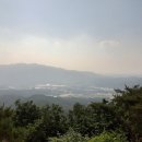 청계산 도토리
