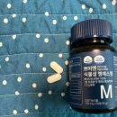 디에이팜 | [쁘띠앤 식물성 엠에스엠] 소중한 가족 무릎 관절 건강 챙기기 / 관절 영양제 추천