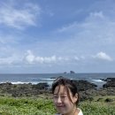 차다목장 이미지