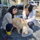 청송동물병원 이미지