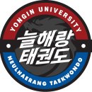 늘해랑태권도장 이미지