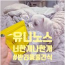 너한개나한개 이미지