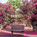 씽씽송송 이미지