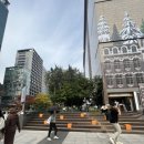 카멜무역 이미지