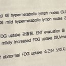 pet ct 결과지.. 고견부탁드립니다 이미지