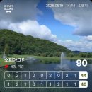 소피아그린 | 여주 골프장 소피아그린cc 5월 라운드 후기 넘 이쁨 최고