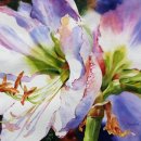 컬러풀 수채화 이미지