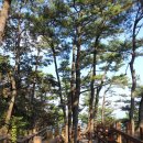 (주)양지대둔산삭도 | 2012 - 51 미륵산2