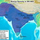 (주)자연제국 이미지