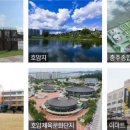 호암초등 이미지