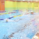 스위밍 차일드(상무점) 이미지