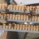 유밀농장 이미지