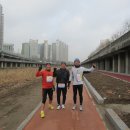 달리는꼬꼬 Daum카페
